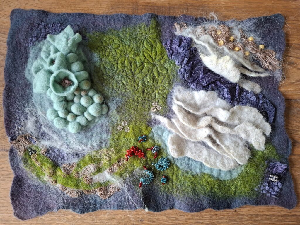 Evolutie 2